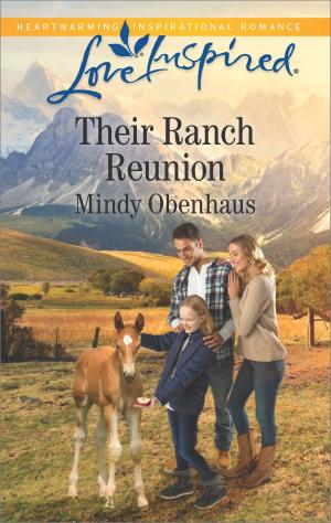 Cover of the book Their Ranch Reunion by Barbara Dunlop, Day Leclaire