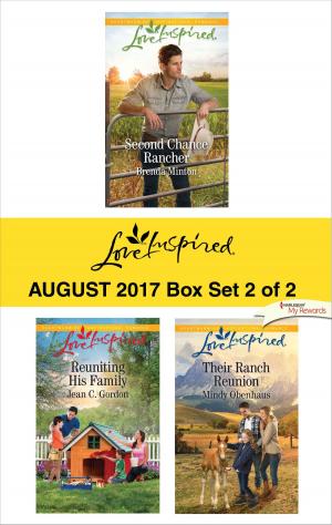 Book cover of Harlequin Love Inspired August 2017 - Box Set 2 of 2