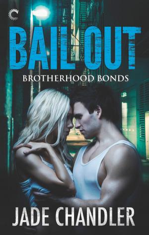 Cover of the book Bail Out by Lauren Dane