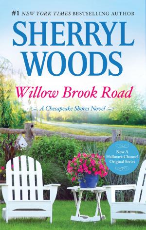 bigCover of the book Willow Brook Road by 