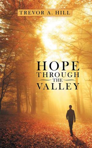 Book cover of Hope Through the Valley