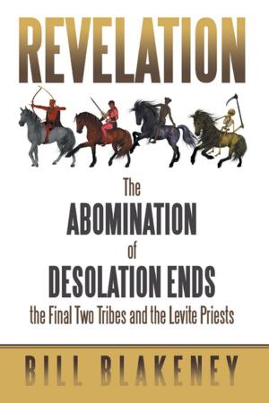 Cover of the book Revelation by J. Laura Chandler