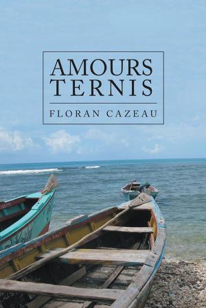 Cover of the book Amours Ternis by Mario Wehmeyer