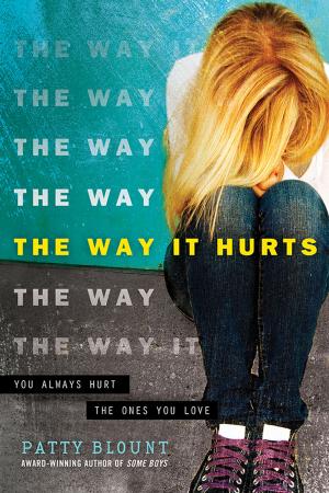 bigCover of the book The Way It Hurts by 