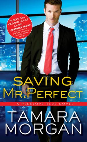 Cover of the book Saving Mr. Perfect by Becky Due