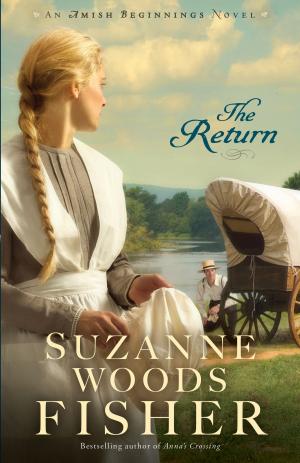 Cover of the book The Return (Amish Beginnings Book #3) by Larry Richards