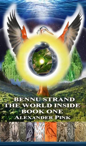 Cover of the book Bennu Strand:The World Inside Book One by A.J. Flowers