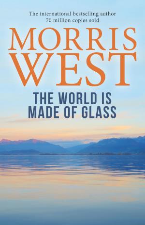 Cover of the book World Is Made of Glass by Sami Shah