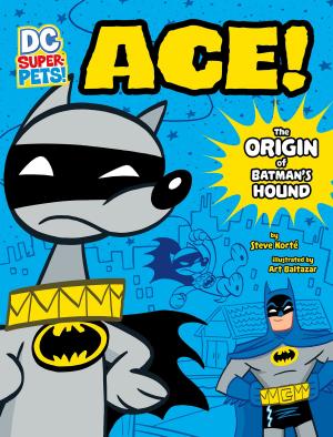 Cover of the book Ace by Jody Sullivan Rake