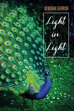 Cover of the book Light in Light by Phil Snider