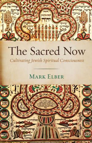 Cover of the book The Sacred Now by David P. Gushee