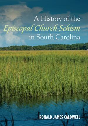 Cover of the book A History of the Episcopal Church Schism in South Carolina by Joseph B. Onyango Okello