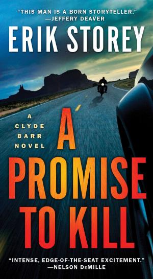 Cover of the book A Promise to Kill by 