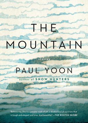 bigCover of the book The Mountain by 