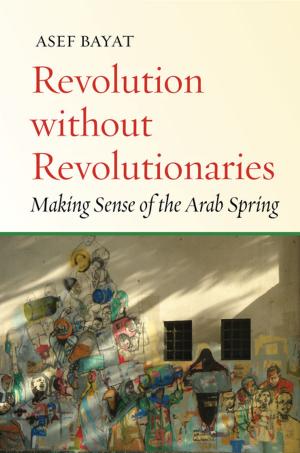 Cover of the book Revolution without Revolutionaries by Abraham Ascher