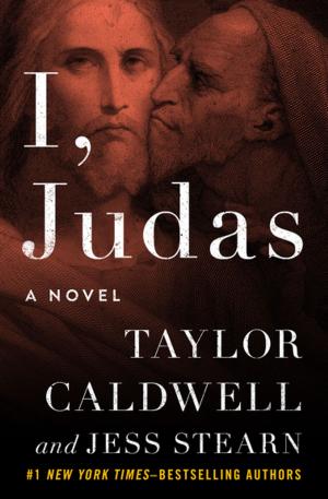 Cover of the book I, Judas by Michael Cadnum