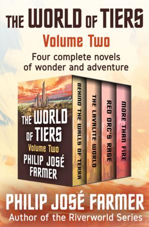 Cover of the book The World of Tiers Volume Two by John Gardner
