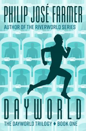 Cover of the book Dayworld by Paul Lederer