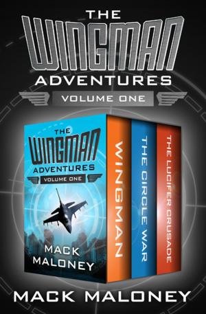 Book cover of The Wingman Adventures Volume One