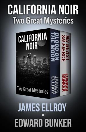 Book cover of California Noir