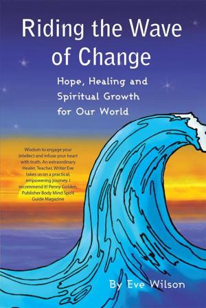 Cover of the book Riding the Wave of Change by Rosaria Lamberti