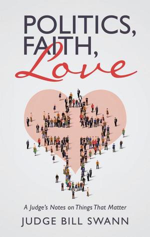 Cover of the book Politics, Faith, Love by Terry L. Newbegin