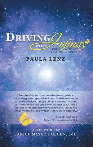 Cover of the book Driving into Infinity by Robin Masters