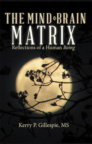 Cover of the book The Mind-Brain Matrix by Joe Hefferon