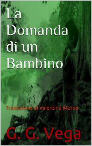 Cover of the book La domanda di un bambino - Racconti brevi dal Paraguay by Gabi Anderson