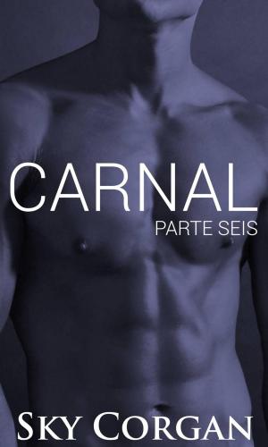 Cover of the book Carnal: Parte Seis by Happy Rose