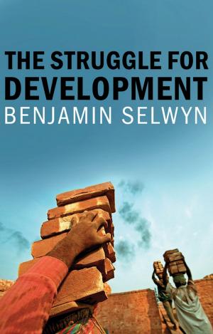 Cover of the book The Struggle for Development by Matthew G. Stanard