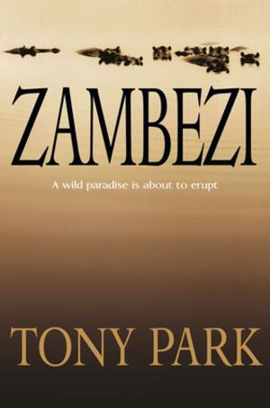 Book cover of Zambezi
