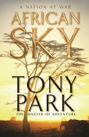 Cover of the book African Sky by P. S. Wright