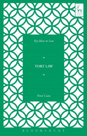Cover of the book Key Ideas in Tort Law by M. G. Lord