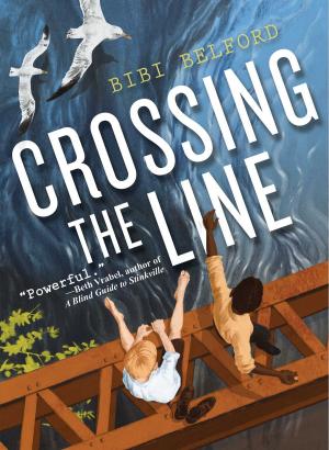 Cover of the book Crossing the Line by Celeste Shally