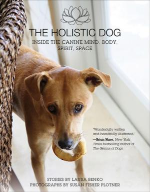 Cover of the book The Holistic Dog by Carole Townsend
