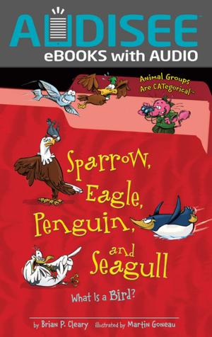 Cover of the book Sparrow, Eagle, Penguin, and Seagull by Betsy R. Rosenthal