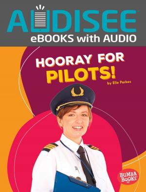 Cover of the book Hooray for Pilots! by Brian P. Cleary