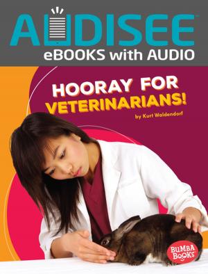 Book cover of Hooray for Veterinarians!