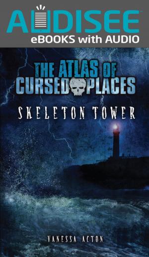 Cover of the book Skeleton Tower by Madeline Donaldson