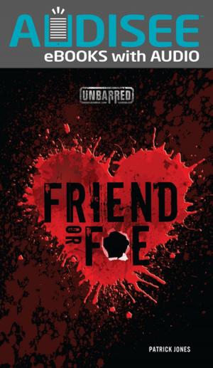 Cover of the book Friend or Foe by Lisa Bullard