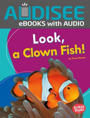 Cover of the book Look, a Clown Fish! by Paul Mason