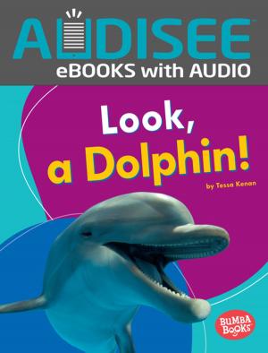 Cover of the book Look, a Dolphin! by Vanessa Acton