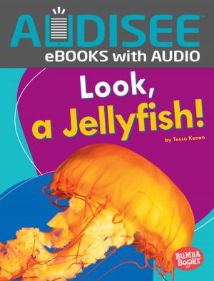 Cover of the book Look, a Jellyfish! by Anne Fine, Mary Hooper, Sophie McKenzie, Patrick Ness, Bali Rai, Jenny Valentine, Keith Gray, Editor, Andrew Smith, A. S. King, Melvin Burgess