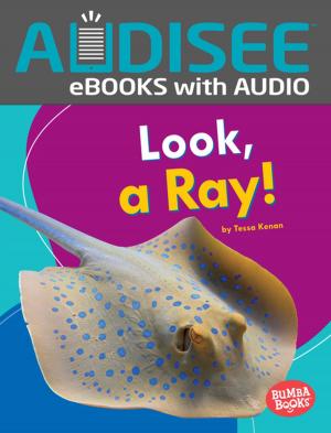 Cover of the book Look, a Ray! by Tim Harris