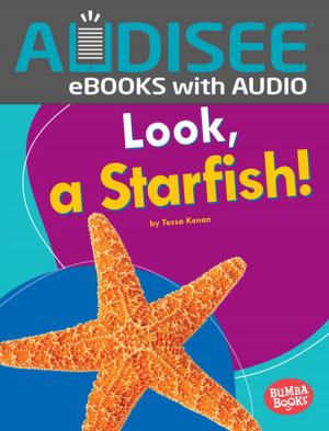 Book cover of Look, a Starfish!