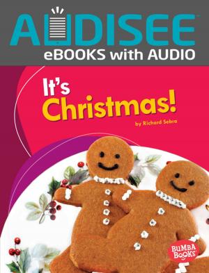 bigCover of the book It's Christmas! by 