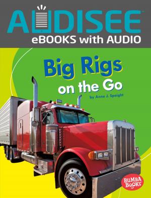 Cover of the book Big Rigs on the Go by Brian P. Cleary