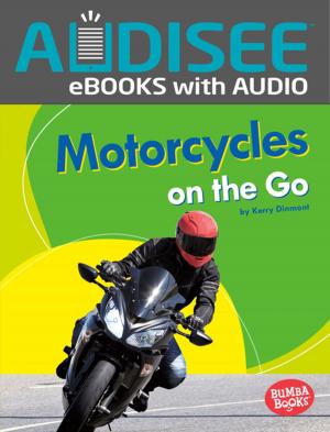 Cover of the book Motorcycles on the Go by M. E. Castle