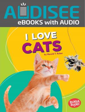 Cover of the book I Love Cats by Jon M. Fishman